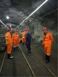 内蒙古一一五地勘公司安全检查小组赴高尔奇矿山及准乌日斯哈拉项目进行生产安全检查 基层传真 新闻中心
